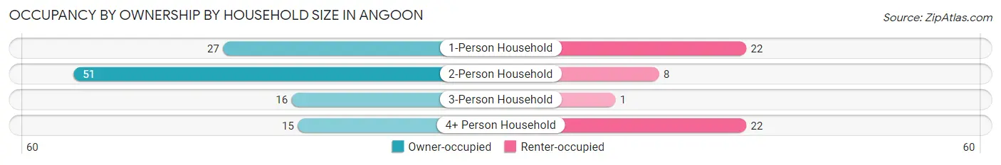 Occupancy by Ownership by Household Size in Angoon