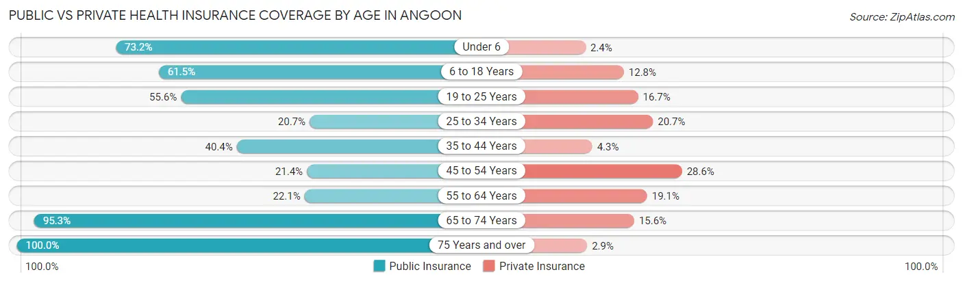 Public vs Private Health Insurance Coverage by Age in Angoon
