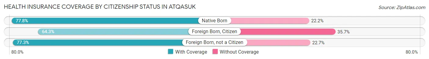 Health Insurance Coverage by Citizenship Status in Atqasuk