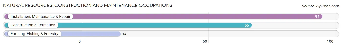 Natural Resources, Construction and Maintenance Occupations in Bethel