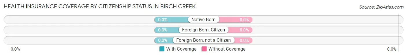 Health Insurance Coverage by Citizenship Status in Birch Creek