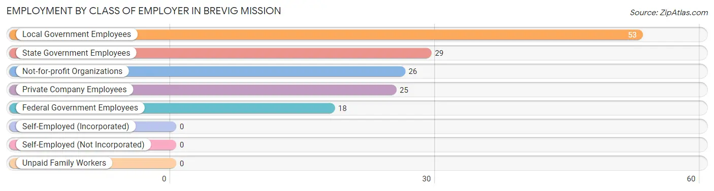 Employment by Class of Employer in Brevig Mission