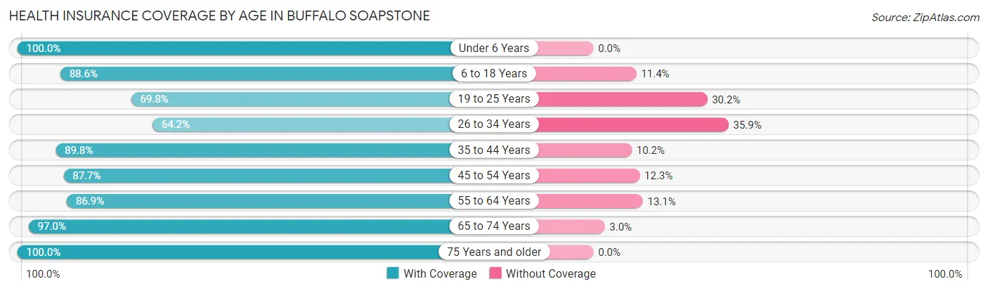 Health Insurance Coverage by Age in Buffalo Soapstone