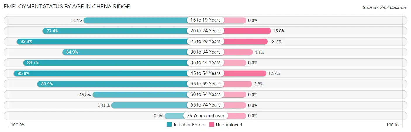 Employment Status by Age in Chena Ridge