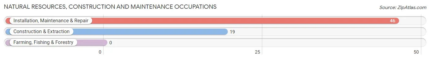 Natural Resources, Construction and Maintenance Occupations in Chevak