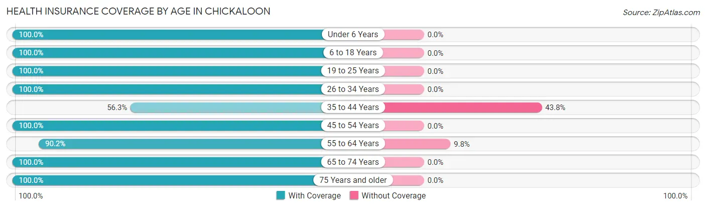 Health Insurance Coverage by Age in Chickaloon