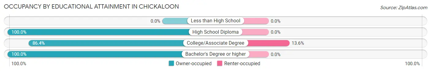 Occupancy by Educational Attainment in Chickaloon