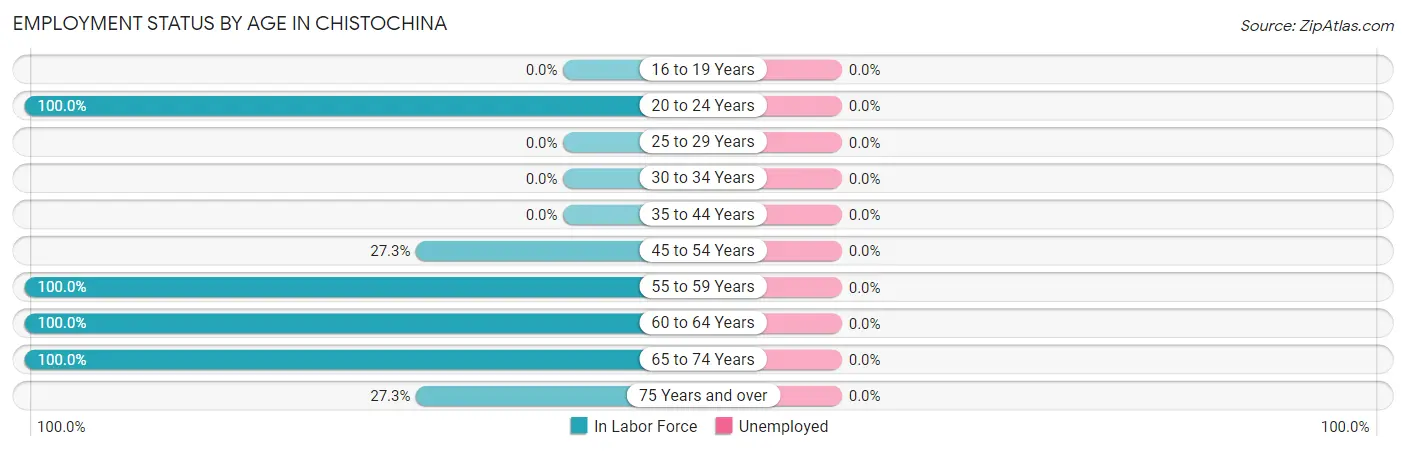Employment Status by Age in Chistochina
