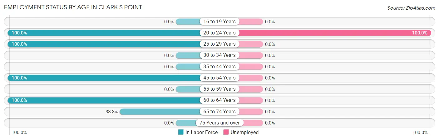 Employment Status by Age in Clark s Point