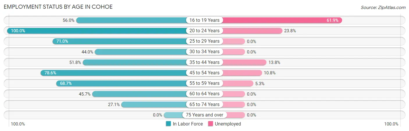 Employment Status by Age in Cohoe
