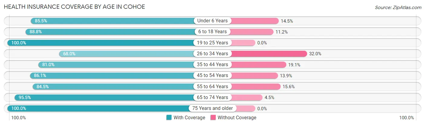 Health Insurance Coverage by Age in Cohoe