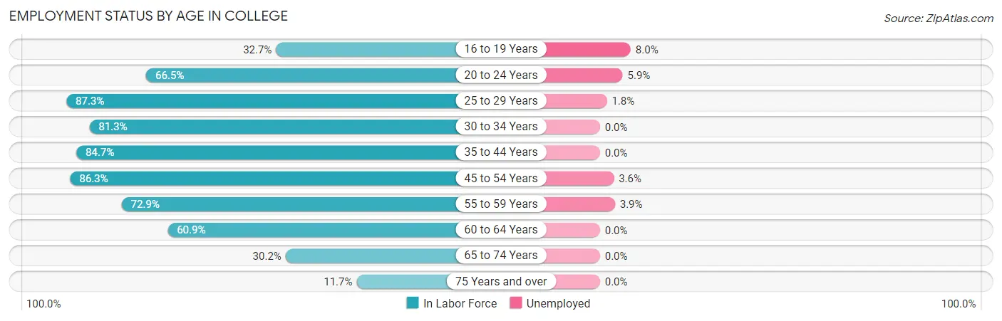 Employment Status by Age in College