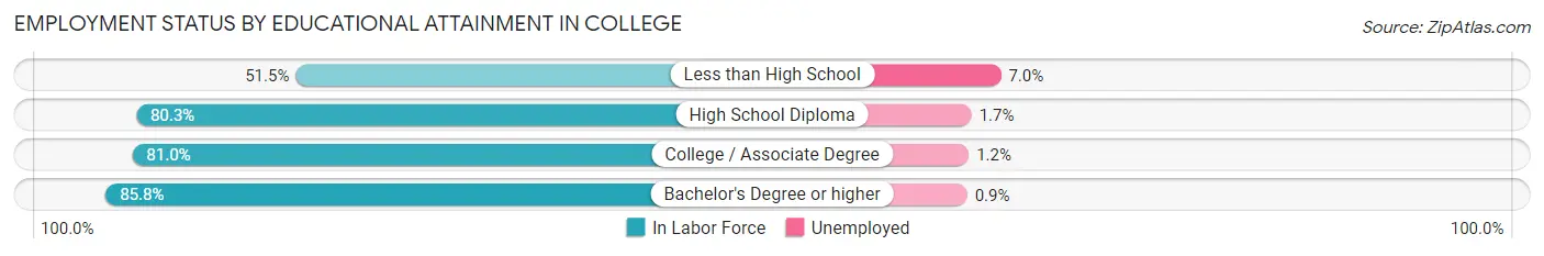 Employment Status by Educational Attainment in College