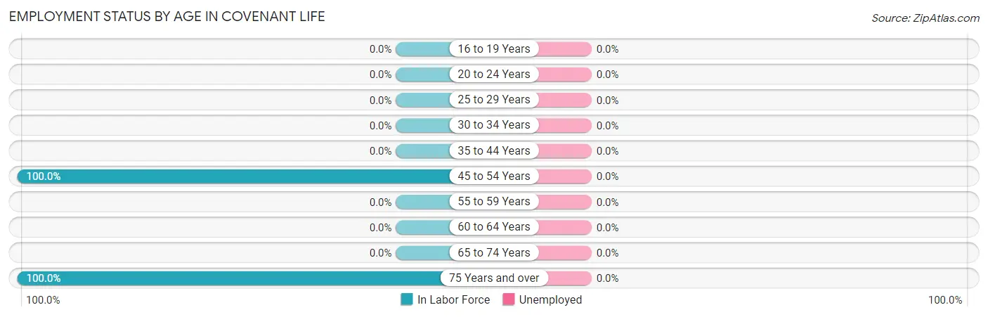 Employment Status by Age in Covenant Life