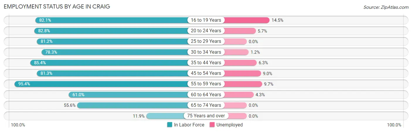 Employment Status by Age in Craig