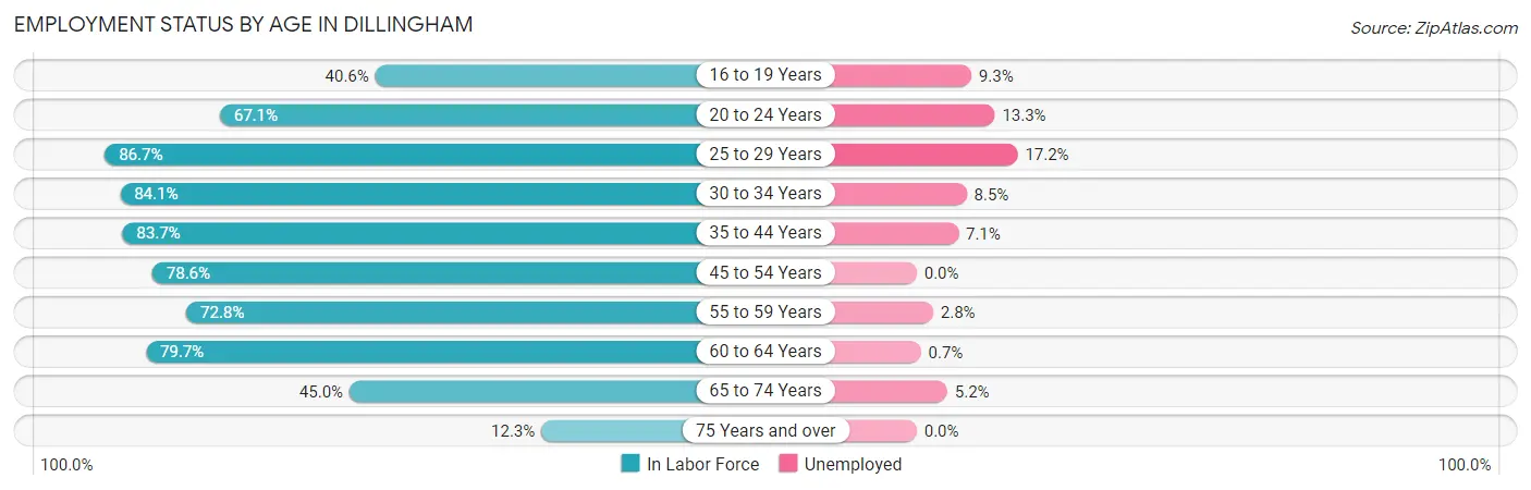 Employment Status by Age in Dillingham
