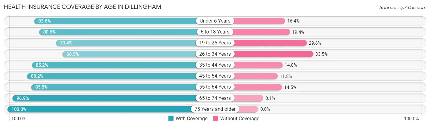 Health Insurance Coverage by Age in Dillingham