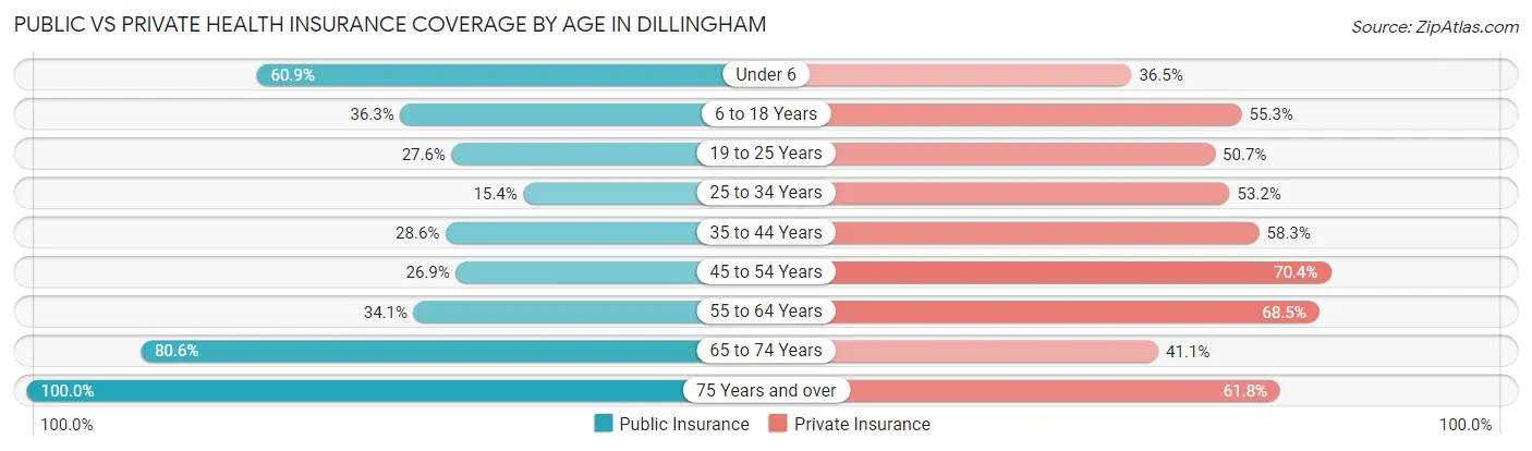 Public vs Private Health Insurance Coverage by Age in Dillingham