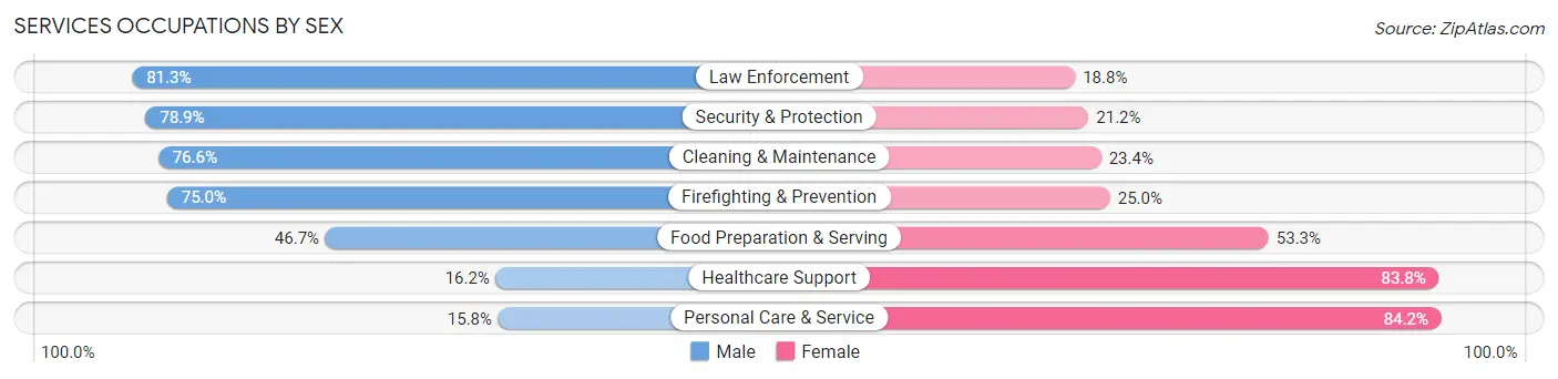 Services Occupations by Sex in Dillingham