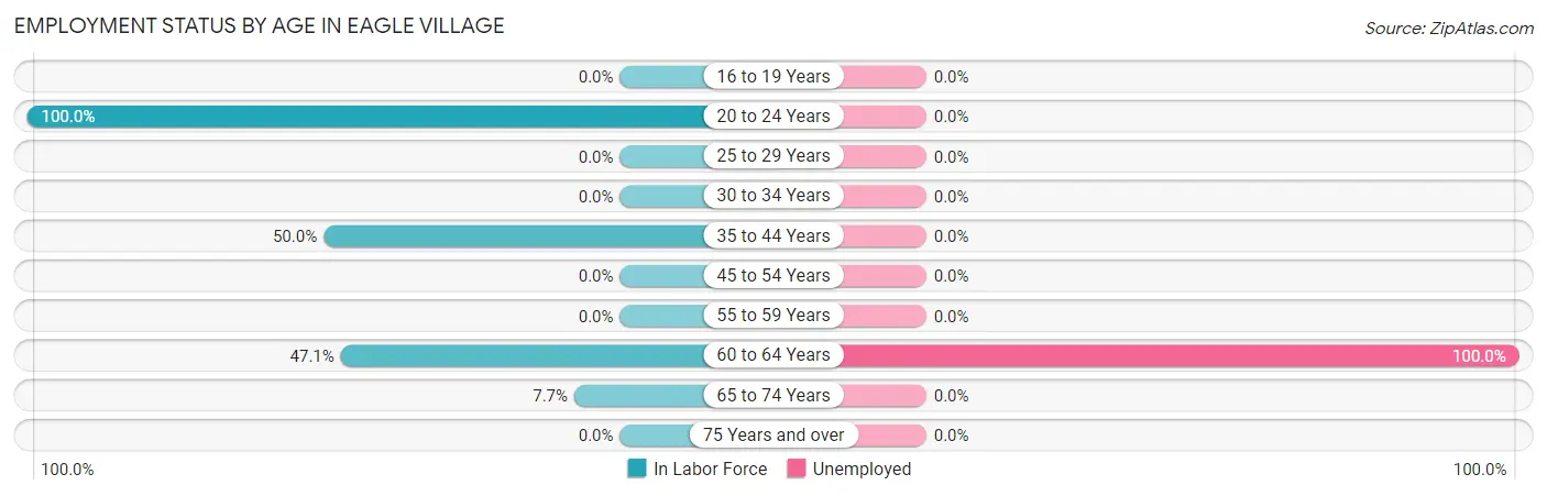 Employment Status by Age in Eagle Village