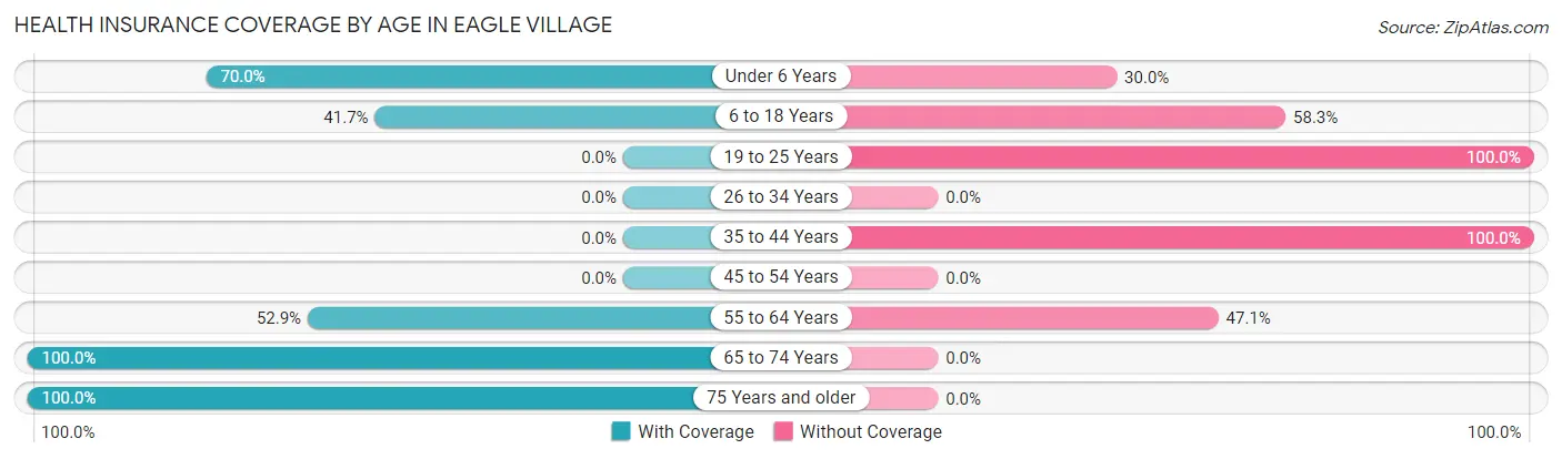 Health Insurance Coverage by Age in Eagle Village