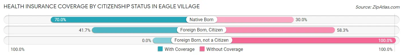 Health Insurance Coverage by Citizenship Status in Eagle Village