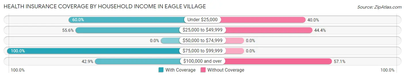 Health Insurance Coverage by Household Income in Eagle Village