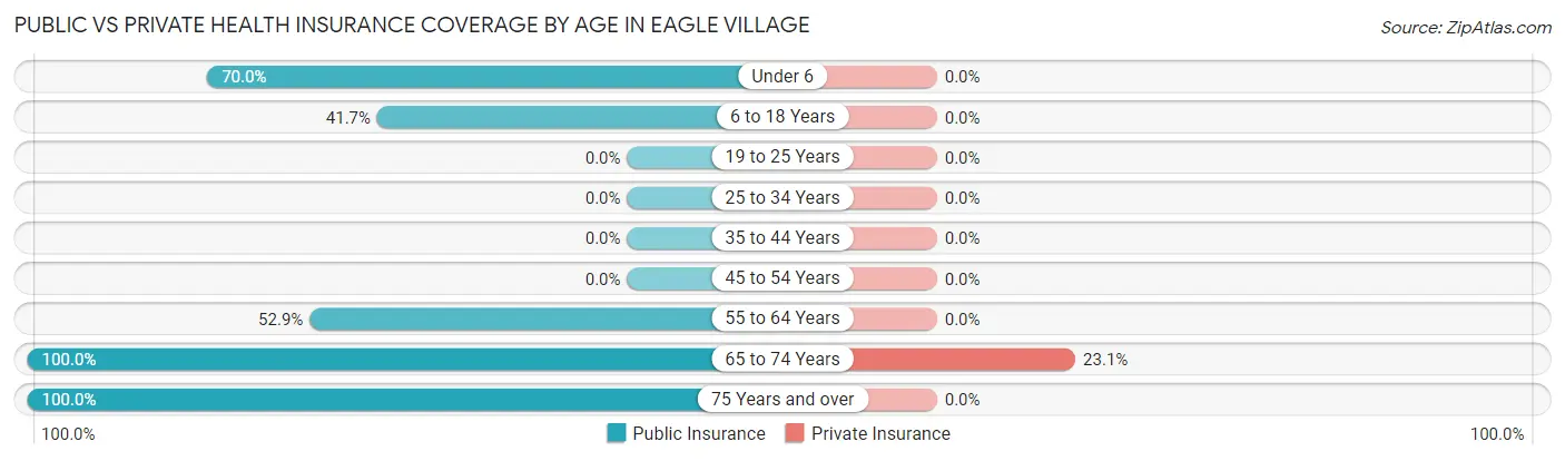 Public vs Private Health Insurance Coverage by Age in Eagle Village