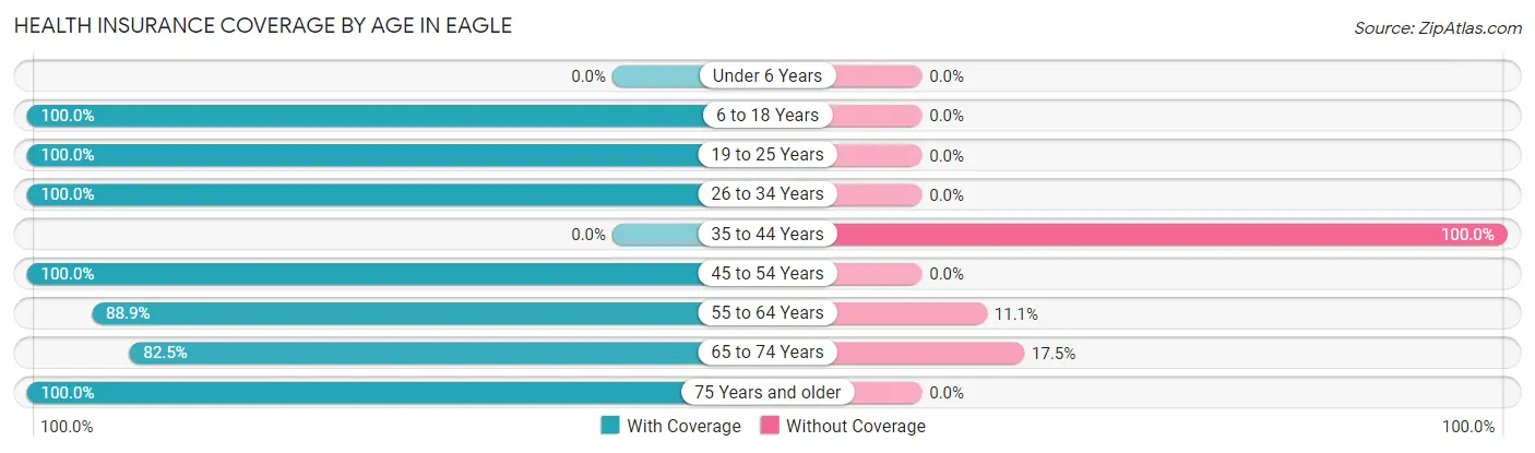 Health Insurance Coverage by Age in Eagle