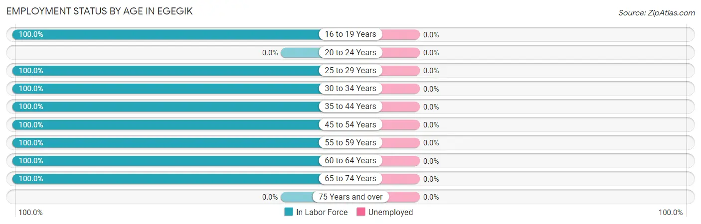 Employment Status by Age in Egegik