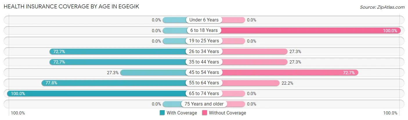 Health Insurance Coverage by Age in Egegik