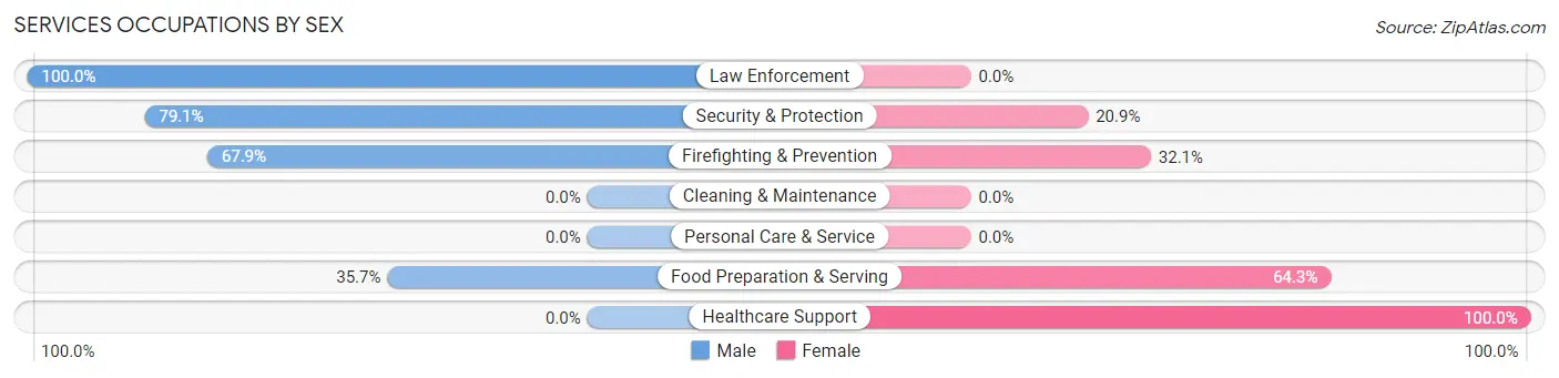 Services Occupations by Sex in Eielson AFB