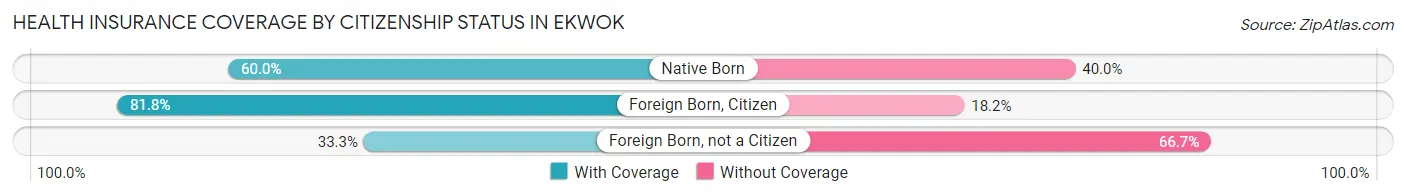 Health Insurance Coverage by Citizenship Status in Ekwok