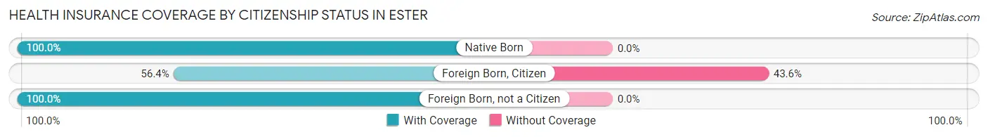 Health Insurance Coverage by Citizenship Status in Ester