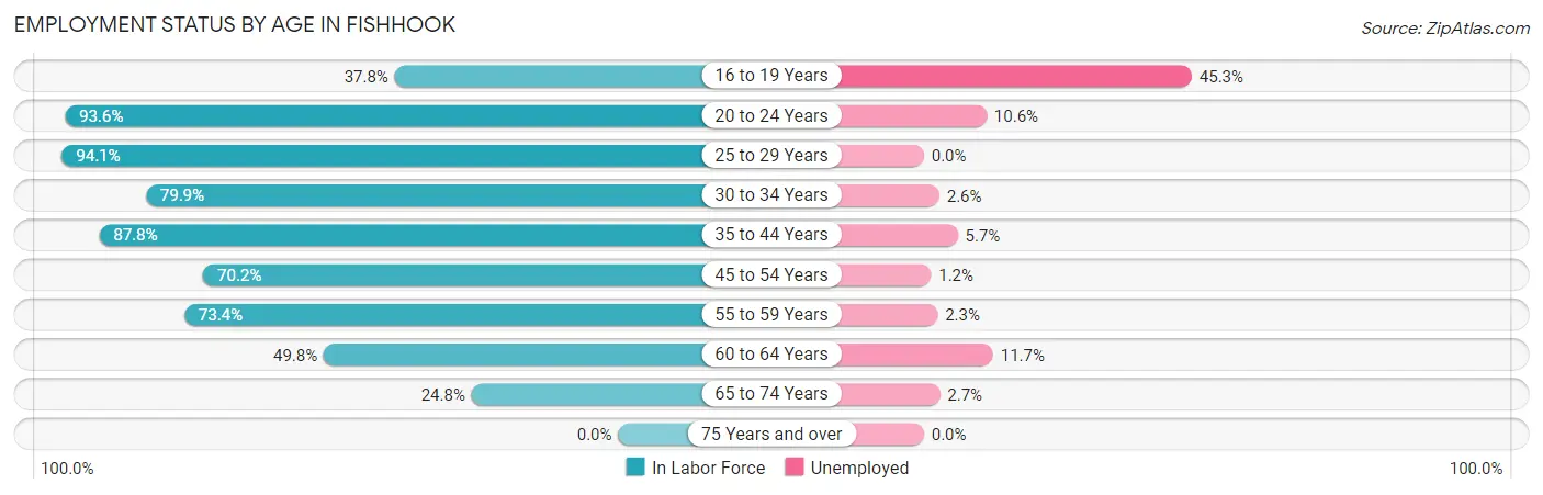 Employment Status by Age in Fishhook