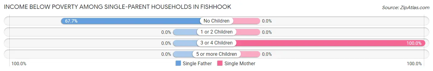 Income Below Poverty Among Single-Parent Households in Fishhook