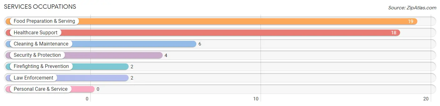 Services Occupations in Galena