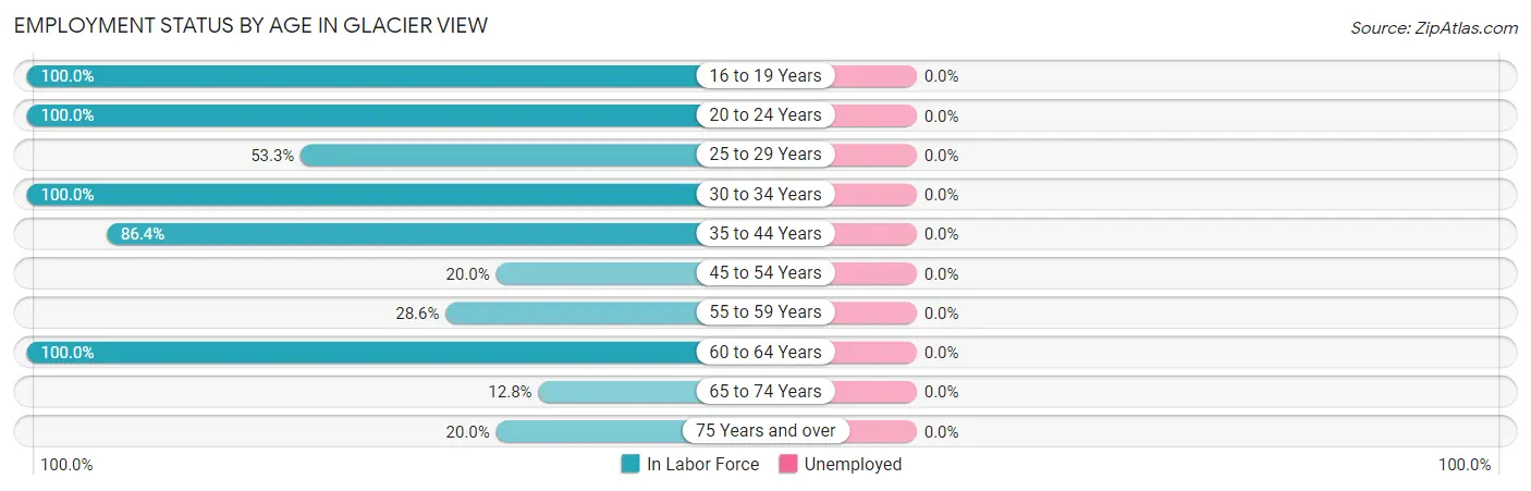 Employment Status by Age in Glacier View