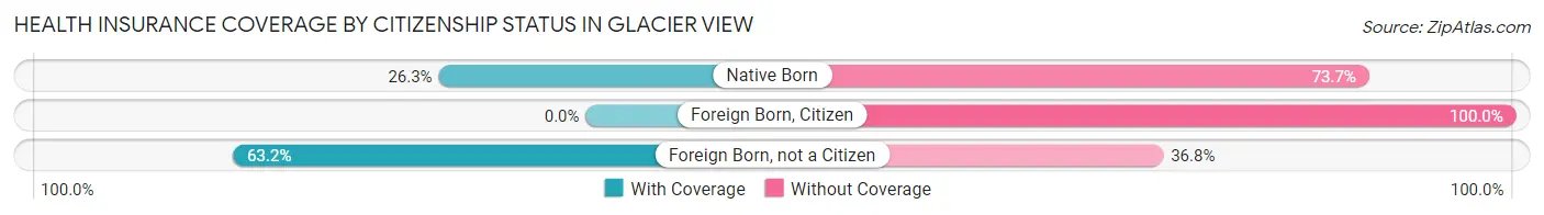 Health Insurance Coverage by Citizenship Status in Glacier View