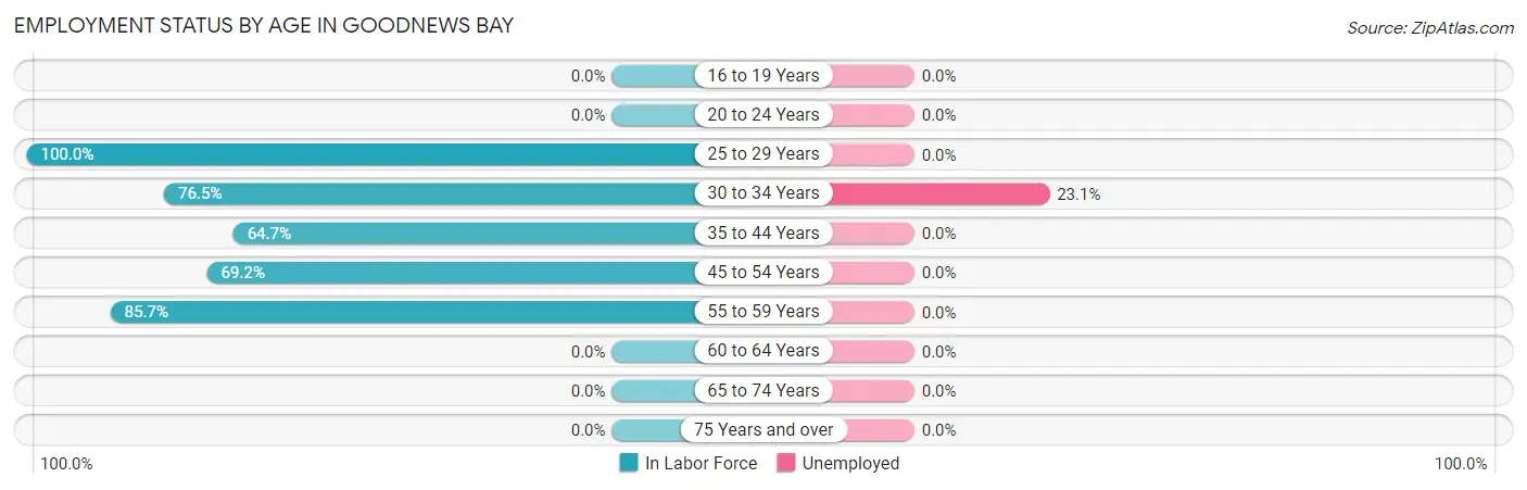 Employment Status by Age in Goodnews Bay