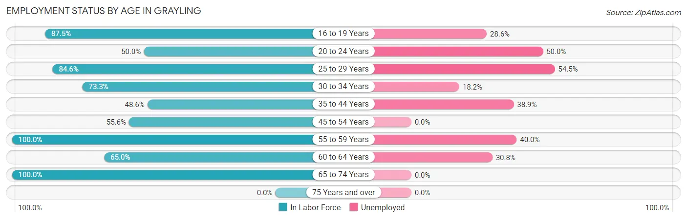 Employment Status by Age in Grayling