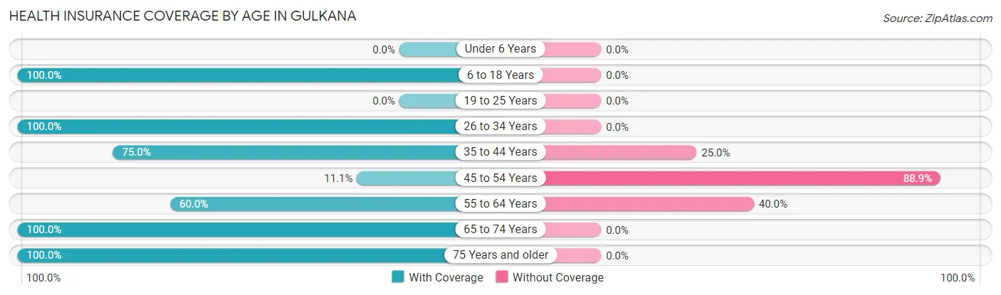 Health Insurance Coverage by Age in Gulkana