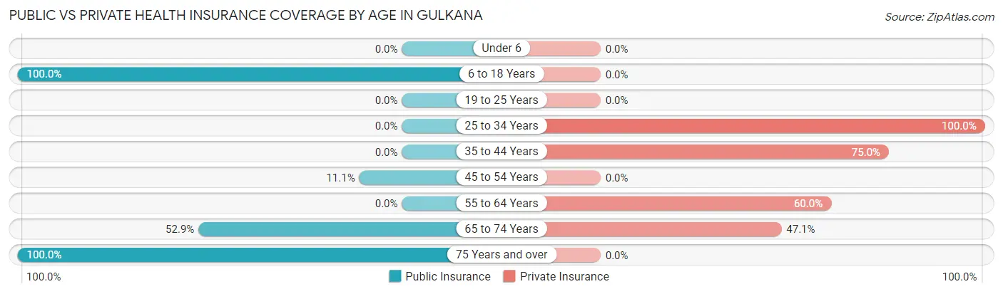 Public vs Private Health Insurance Coverage by Age in Gulkana