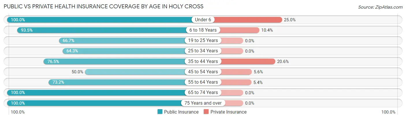 Public vs Private Health Insurance Coverage by Age in Holy Cross