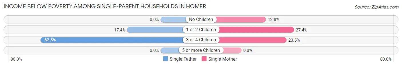 Income Below Poverty Among Single-Parent Households in Homer