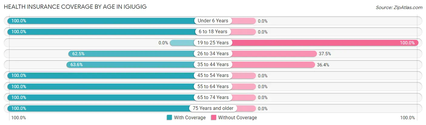 Health Insurance Coverage by Age in Igiugig