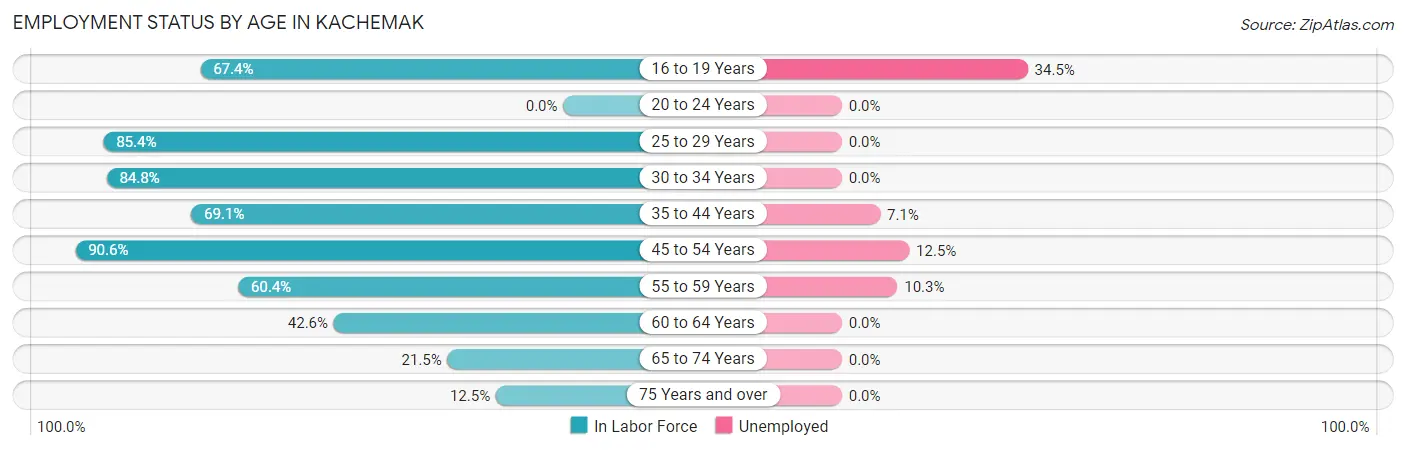 Employment Status by Age in Kachemak