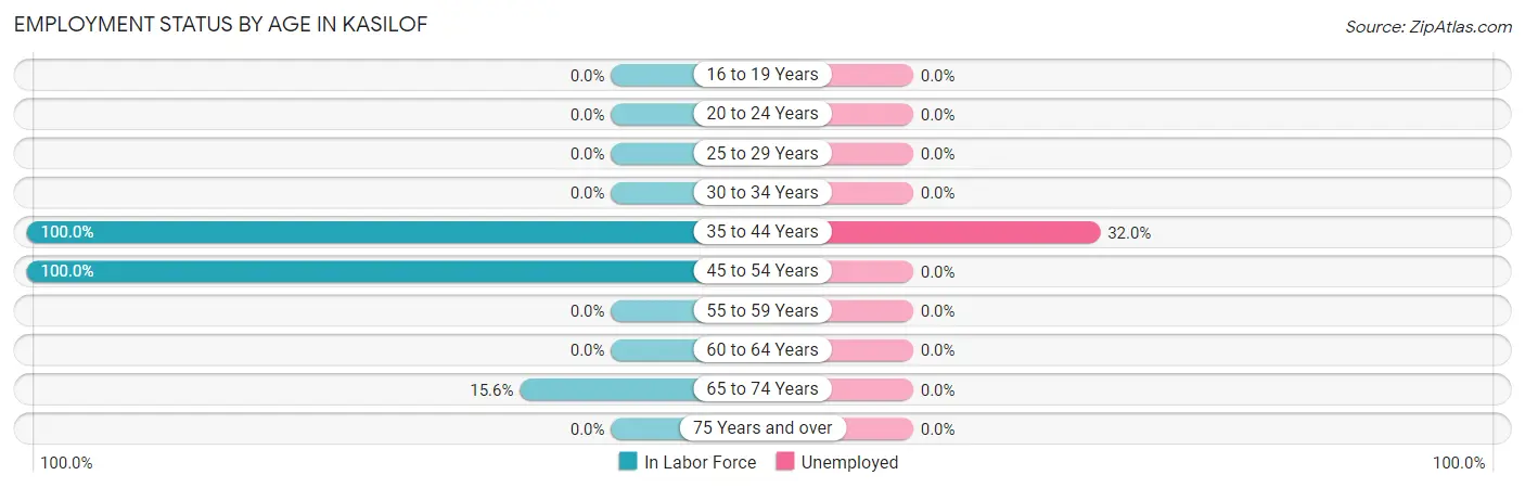 Employment Status by Age in Kasilof