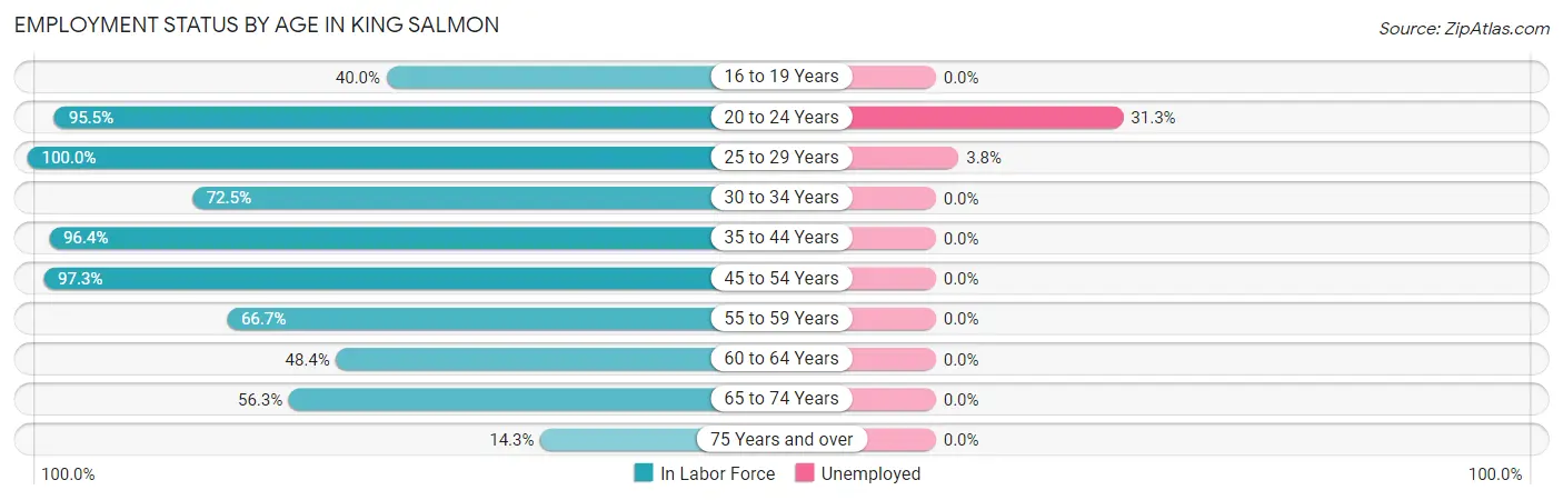 Employment Status by Age in King Salmon