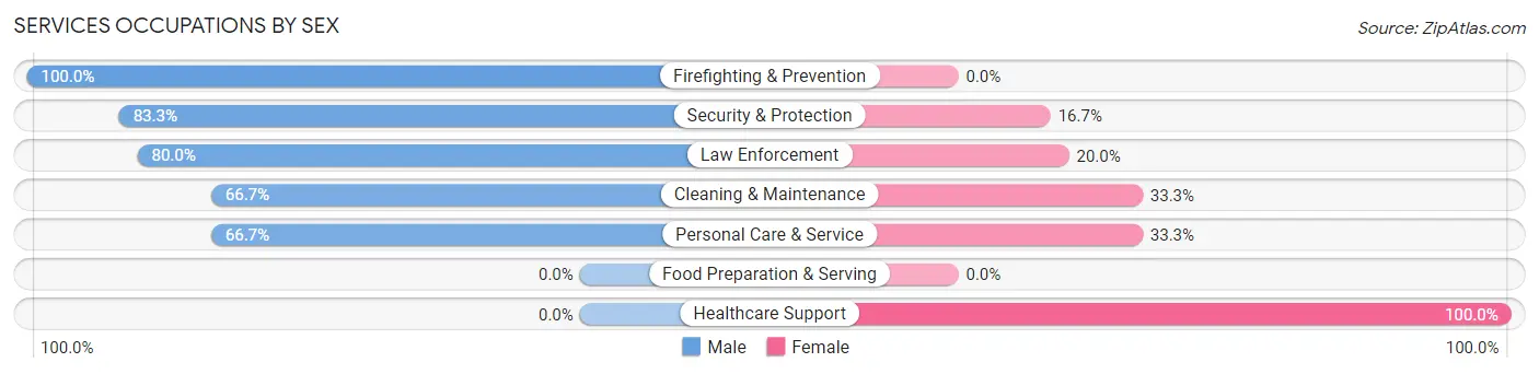 Services Occupations by Sex in King Salmon